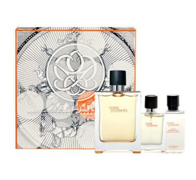 Hermes Terre D Hermes EDT dárková sada M - Edt 100 + 12,5ml toaletní voda + 40ml voda po holení