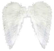 křídla andělská s peřím