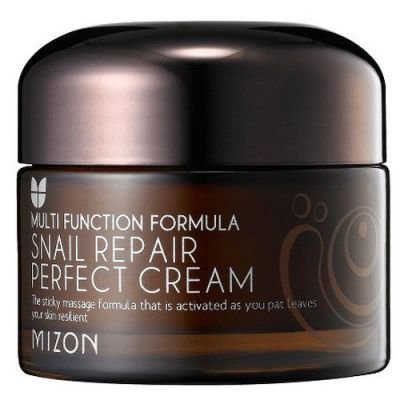 MIZON Snail Repair Perfect Cream, Vyživující krém na vrásky 50 ml