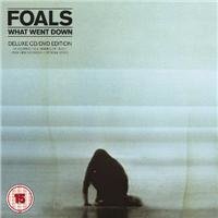 FOALS What Went Down (CD + DVD)