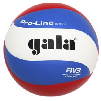 Volejbalový míč Gala Pro-Line 5591S