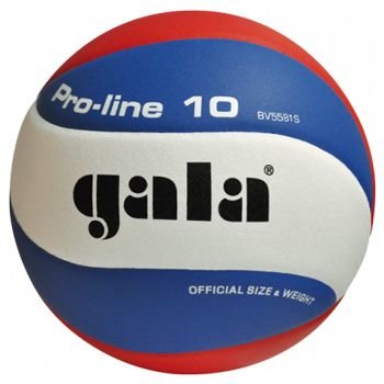 Volejbalový míč Gala Pro-Line 5581S