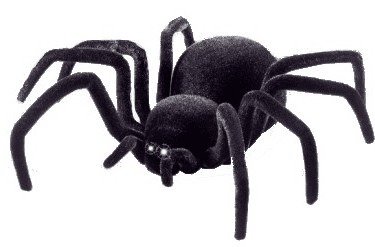 Bez určení výrobce | RC pavouk Černá Vdova