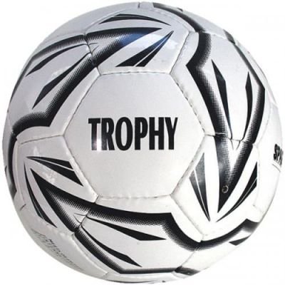 Fotbalový míč SPARTAN Trophy 5 SPARTAN SPORT 450