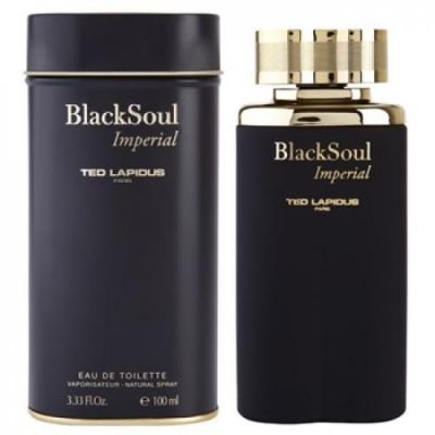 Ted Lapidus Black Soul Imperial toaletní voda pro muže 100 ml  + expresní doprava 3355992005500