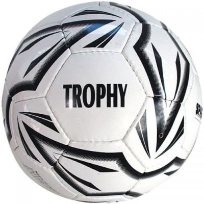 Fotbalový míč SPARTAN Trophy 4 SPARTAN SPORT 454