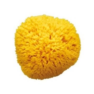 OK BABY Houba na mytí 12