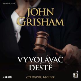 Vyvolávač deště - John Grisham - audiokniha