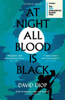 At Night All Blood is Black (Diop David)(Paperback / softback)