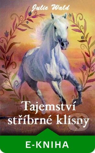 Tajemství stříbrné klisny - Julie Wald