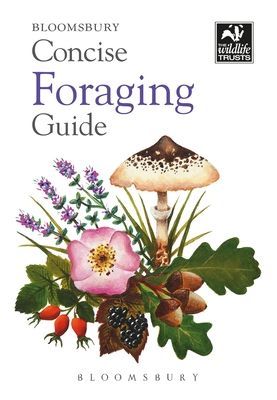 Concise Foraging Guide (Francis-Baker Tiffany)(Paperback / softback)