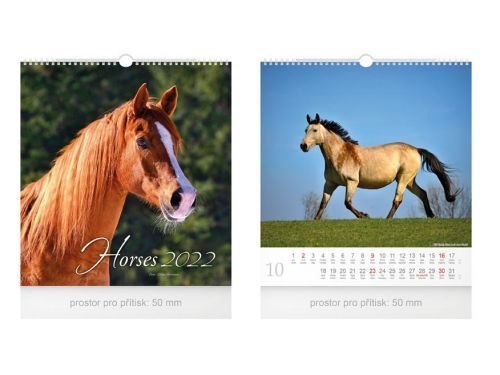 MFP 1061252 Kalendář 2022 nástěnný malý Horses