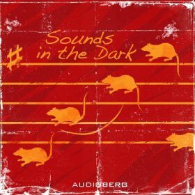 Sounds in the Dark - audiokniha