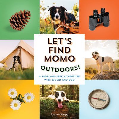 Let's Find Momo Outdoors! - A Hide and Seek Adventure with Momo and Boo (Knapp Andrew)(Board book)