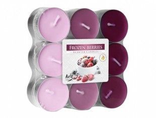 Nohelgarden Svíčka čajová MRAŽENÉ OVOCE vonná 18ks