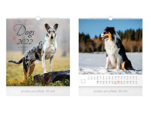 MFP 1061251 Kalendář 2022 nástěnný malý Dogs