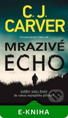 Mrazivé echo (Psycholog Harry Hope 1) - C.J. Carver