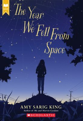 Year We Fell From Space (Scholastic Gold) (King Amy Sarig)(Paperback)