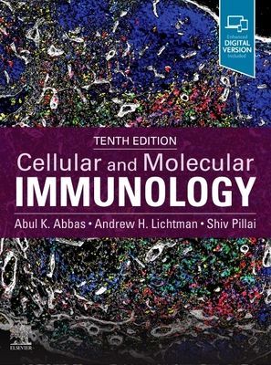 Cellular and Molecular Immunology (Abbas Abul K. (Distinguished Professor and Chair Department of Pathology University of California San Francisco San Francisco California))(Paperback / softback)