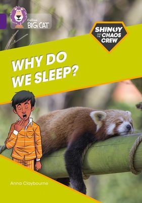 Shinoy and the Chaos Crew: Why do we sleep? - Band 08/Purple (Claybourne Anna)(Paperback / softback)