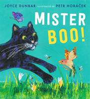 Mister Boo! (Dunbar Joyce)(Pevná vazba)