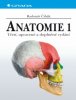 Nakladatelství Grada Anatomie 1 - , 1 ks  1 ks