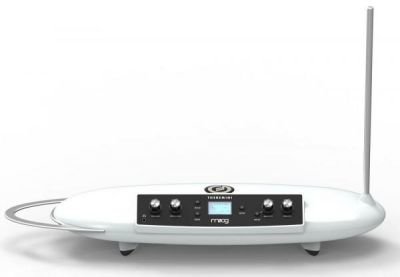 MOOG THEREMINI