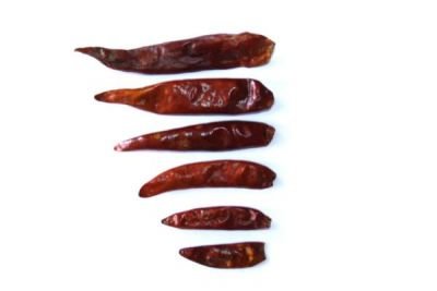 Profikoření - Chilli papričky celé 4-6 cm (1 Kg)