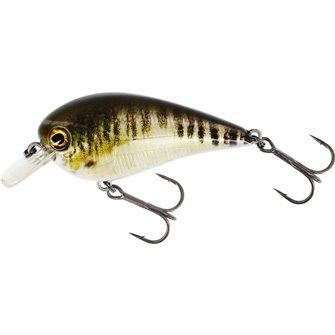 Westin: Wobler BassBite 2.5 Squarebill 7cm 16g Floating Real Minnow