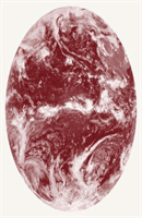 Tools for Extinction (Aidt Naja Marie)(Paperback / softback)