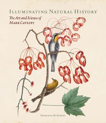 Illuminating Natural History - The Art and Science of Mark Catesby (Mcburney Henrietta)(Pevná vazba)