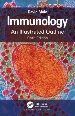 Immunology - An Illustrated Outline (Male David (Department of Life Health & Chemical Sciences The Open University Milton Keynes UK))(Paperback / softback)