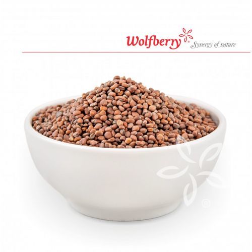 BIO Ředkev - semínka na klíčení 3kg Wolfberry