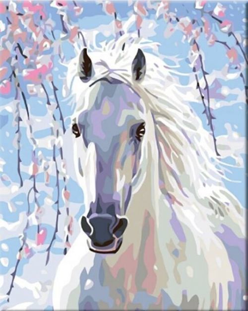 Zuty Malování podle čísel Bílý kůň