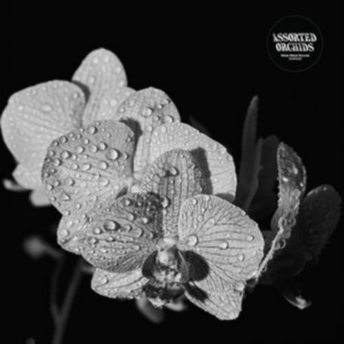 Assorted Orchids (Assorted Orchids) (Vinyl / 12