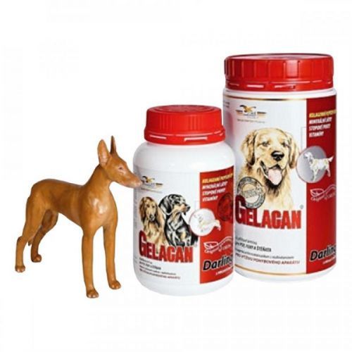 GELACAN Darling 150 g