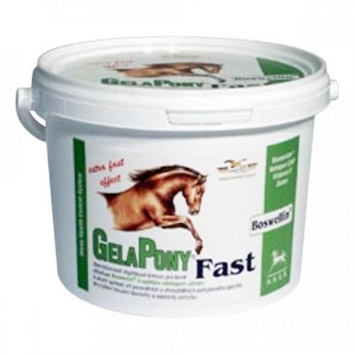 Gelapony Fast 600 g a.u.v.