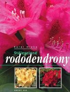 Stálezelené rododendrony - Heike Karel