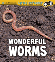Wonderful Worms (Peterson Megan Cooley)(Paperback / softback)