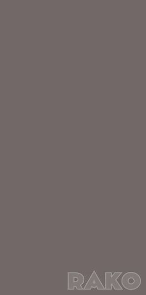Rako CONCEPT/COLOR ONE Obklad, tmavě šedá, 19,8 x 39,8 cm / WAAMB111
