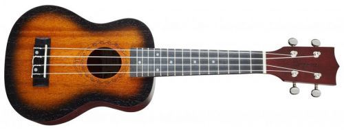 Tanglewood TWT 1 SB