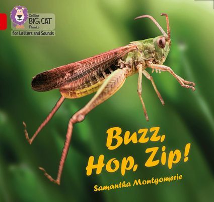 Buzz, Hop, Zip! - Band 02a/Red a (Montgomerie Samantha)(Paperback / softback)