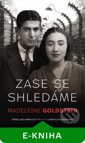 Zase se shledáme - Madeleine Goldstein