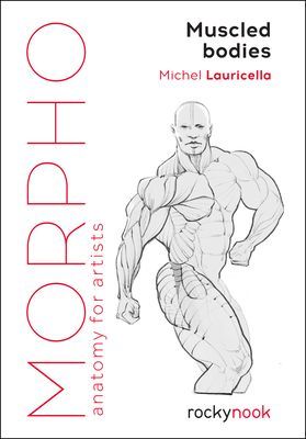 Morpho: Muscled Bodies: Anatomy for Artists (Lauricella Michel)(Paperback)