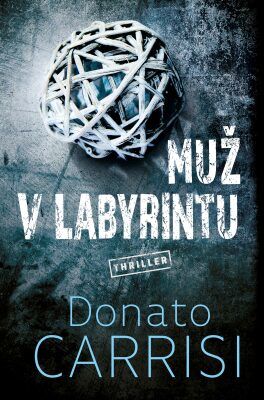 Muž v labyrintu - Donato Carrisi