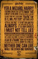 GB EYE Plakát, Obraz - Harry Potter - Quotes, (61 x 91.5 cm)