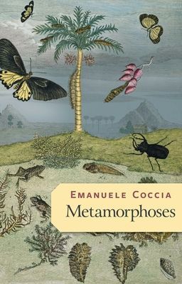 Metamorphoses (Coccia Emanuele)(Paperback / softback)