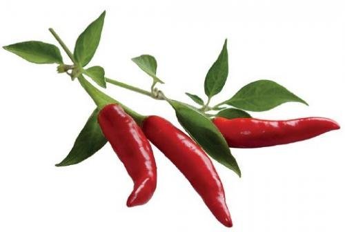Click and Grow náplň pro smart květináče a farmy - Chili papričky, 3ks v balení