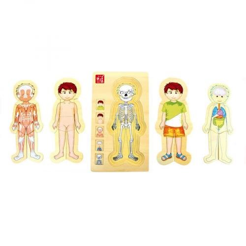 Dřevěné puzzle - anatomie kluka Tima