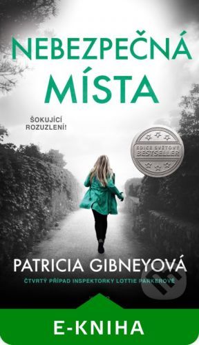 Nebezpečná místa - Patricia Gibney